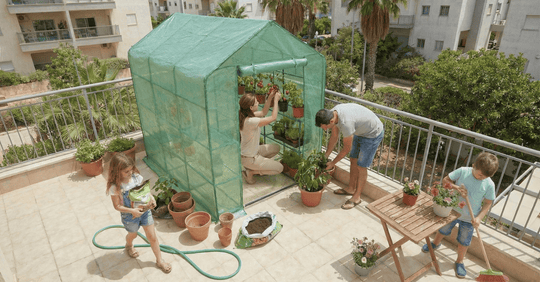 חממה ביתית - מה מגדלים בחורף? רשימת צמחים לגידול שאי אפשר בלעדיהם