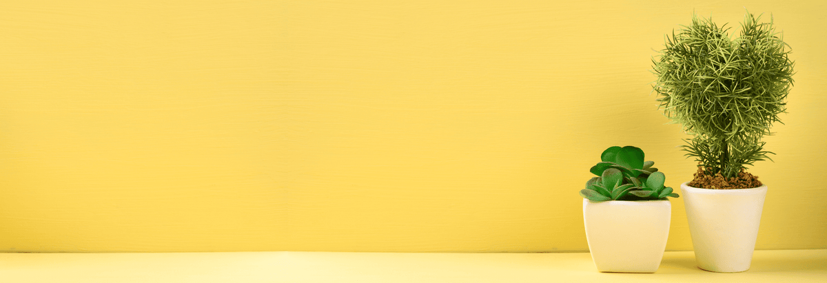 צמחים מלאכותיים קטנים