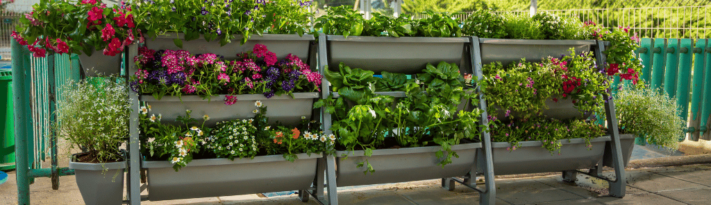 אפגארדן | Upgarden