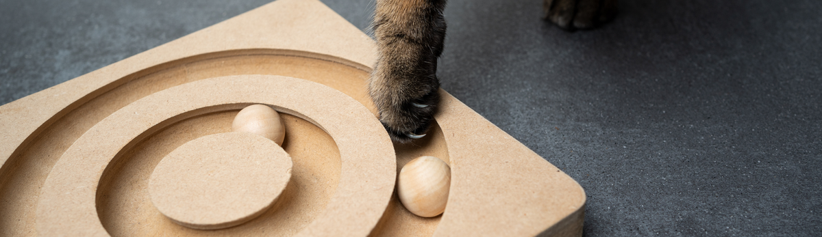 מוצרים לחתולים