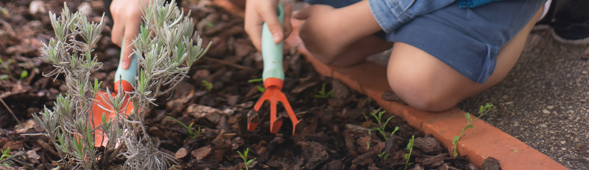 כלי גינון לילדים