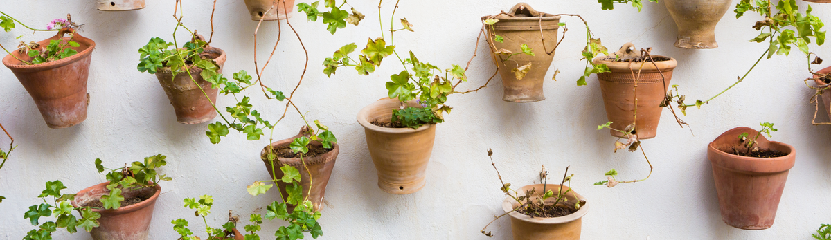 מעמדים לעציצים ואדניות