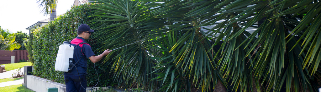 הדברת זחלים וצרצרים