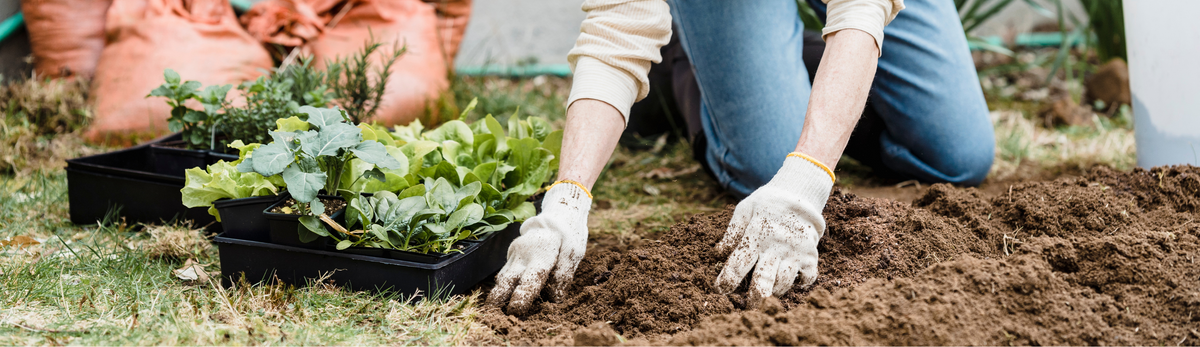 כפפות גינון