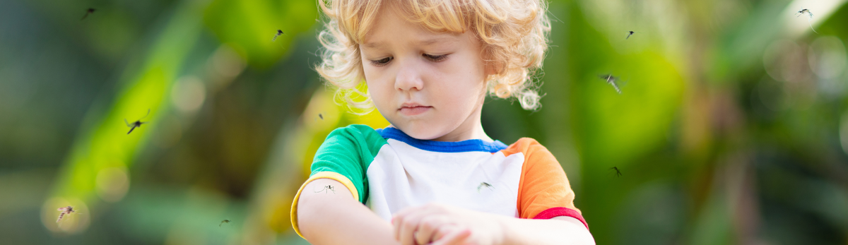 קוטל יתושים