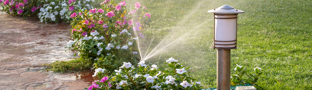 מחשבי השקיה