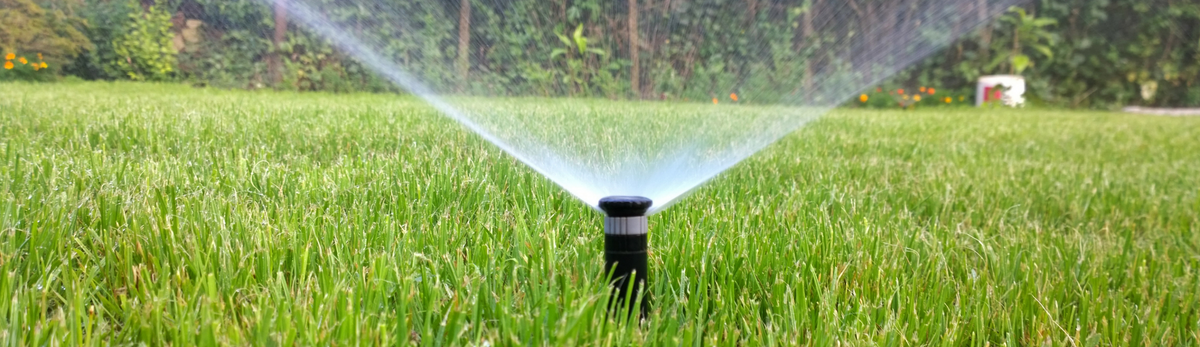 ממטרות ומתזים