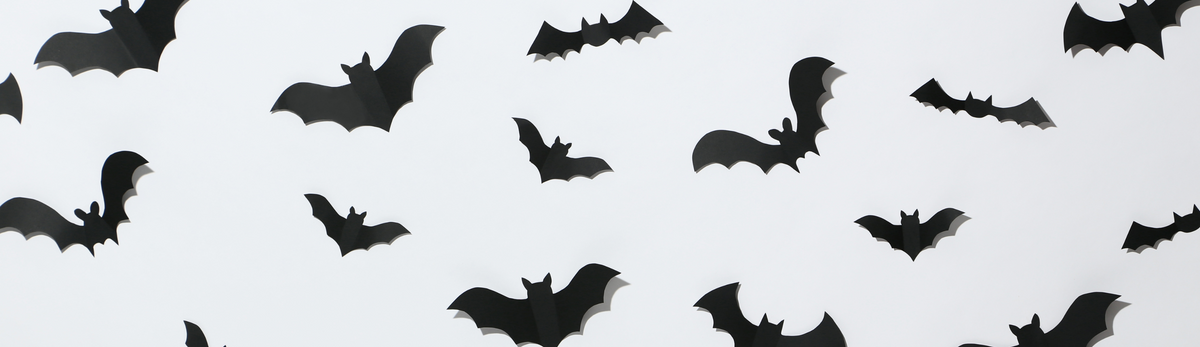 הרחקת עטלפים