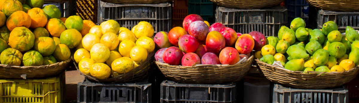 כלי לקיטוף פירות