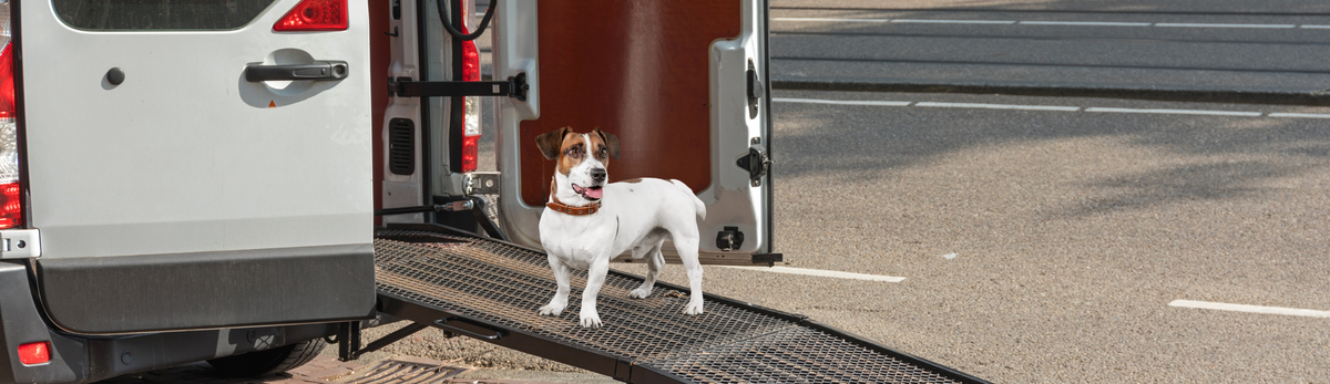 מדרגות ורמפות עלייה
