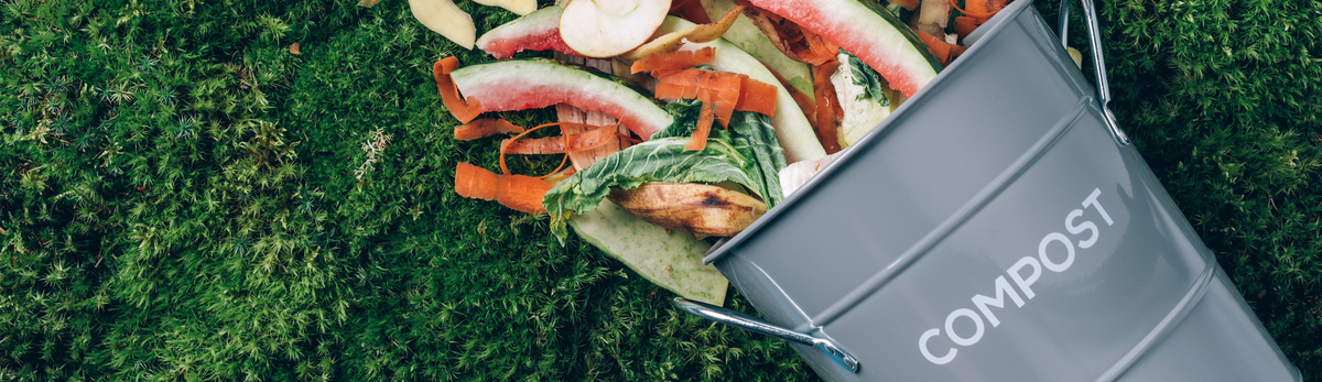 קומפוסטרים