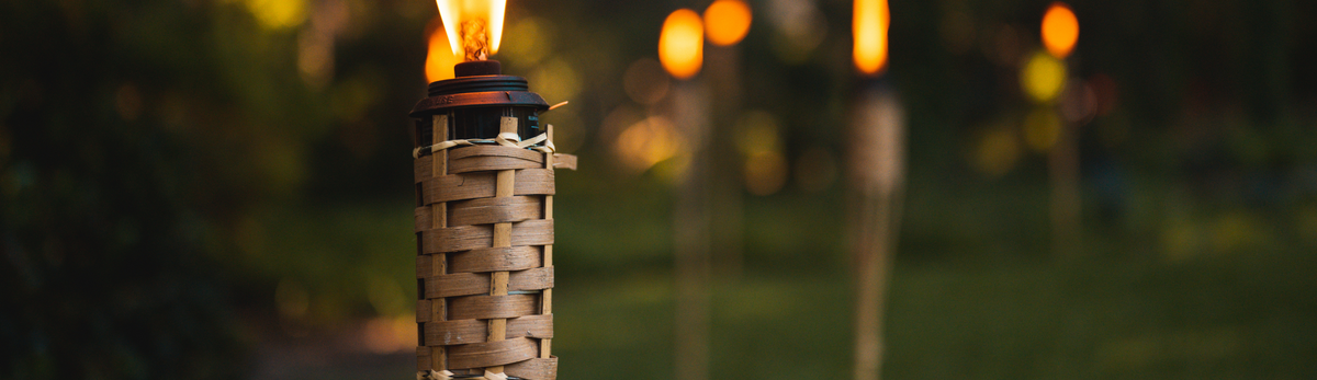 לפידים נגד יתושים