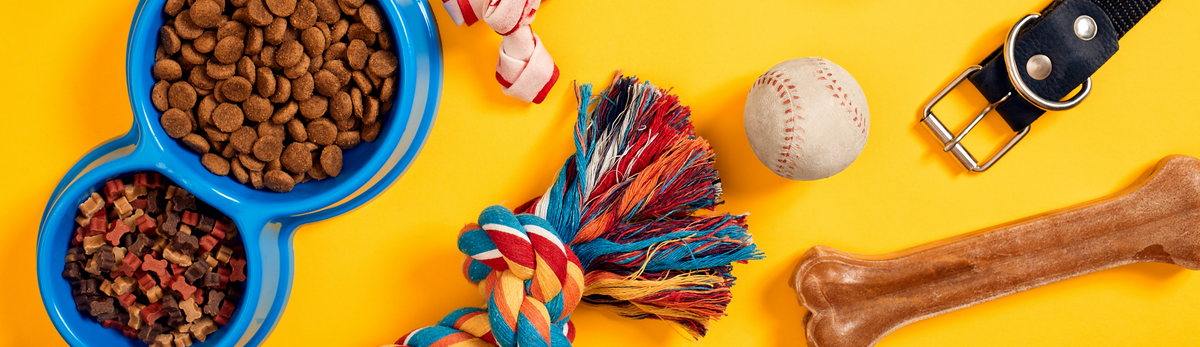 מוצרים לכלבים