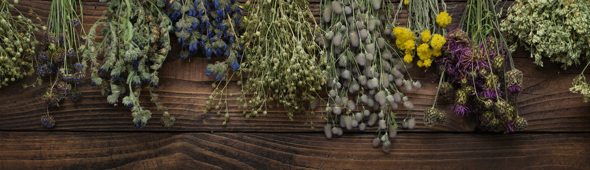 מתקן לייבוש צמחים