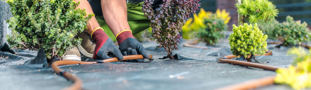 צינורות השקיה וגלגלות