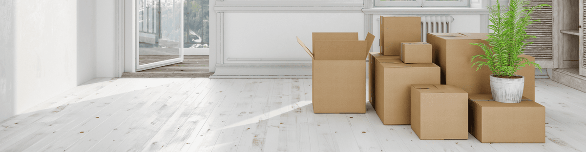 מוצרי מעבר דירה