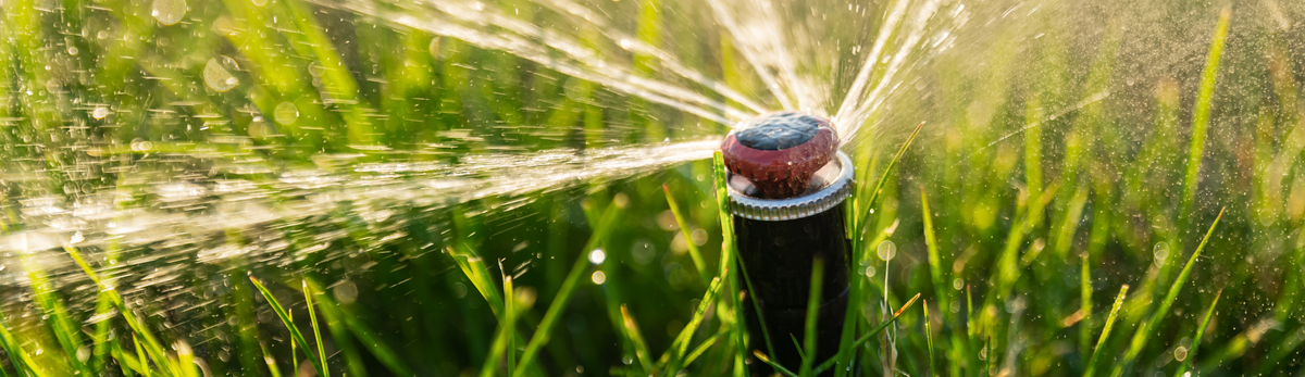 ערכות השקיה אוטומטיות