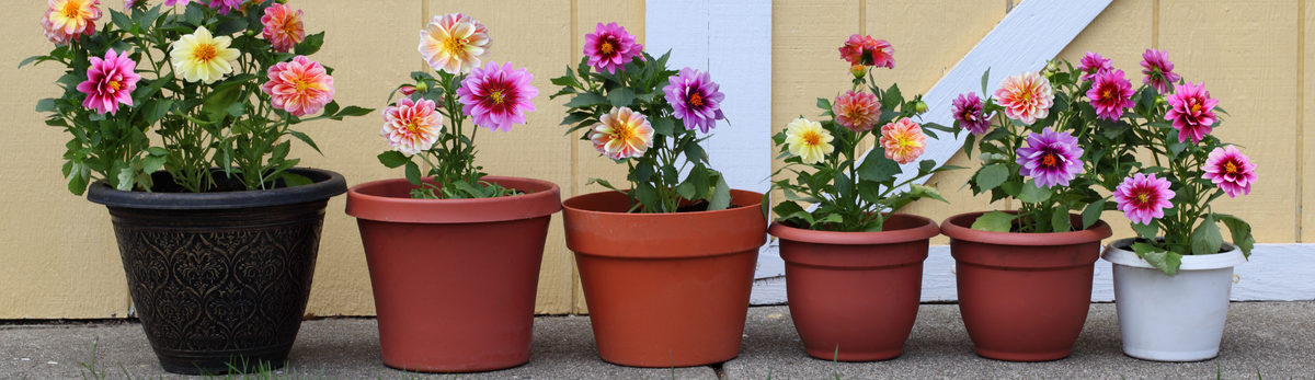 אדניות, עציצים וקערות שתילה