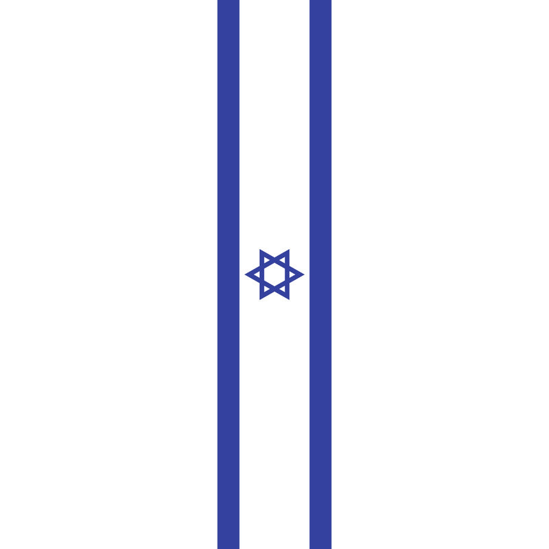 דגל ישראל ענק, מלבני 10X2 מטר לתלייה על בניין ומבנה רב קומות