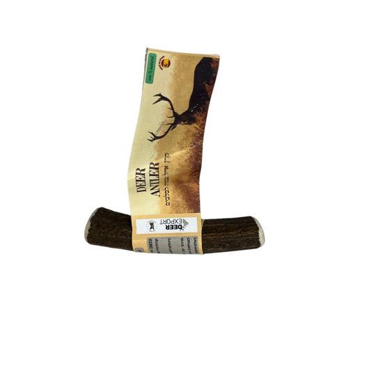 קרן אייל טבעית לכלבים