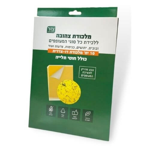 מלכודת זבובים מבית צור מרקט