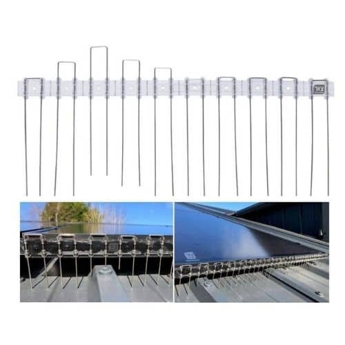 דוקרן נגד יונים