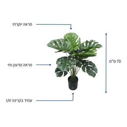 צמח מלאכותי 70 ס"מ למראה אלגנטי