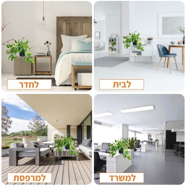 צמח מלאכותי יהודי