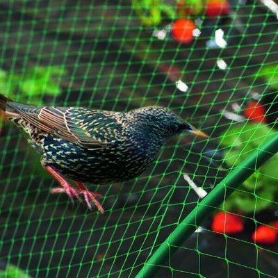 רשת להגנה על שיחים מפני ציפורים בצור מרקט