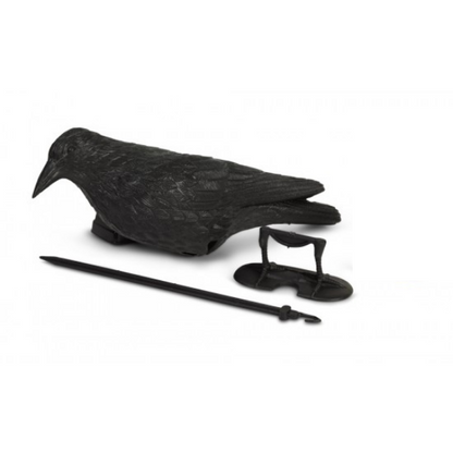 עורב להרחקת יונים לרכישה בצור מרקט