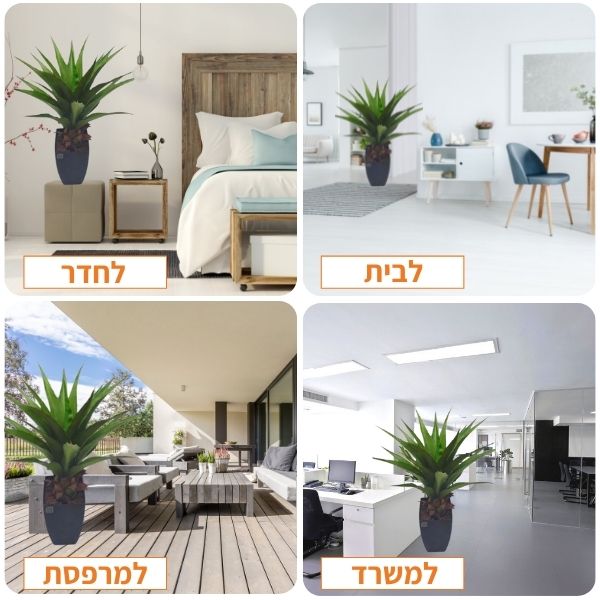 צמח מלאכותי קקטוס אלוורה