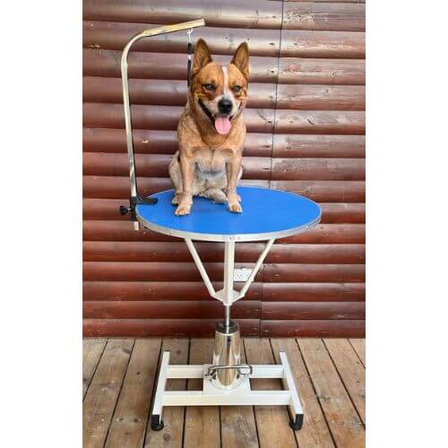 שולחן תספורת כלבים הידראולי קוטר 80 ס"מ