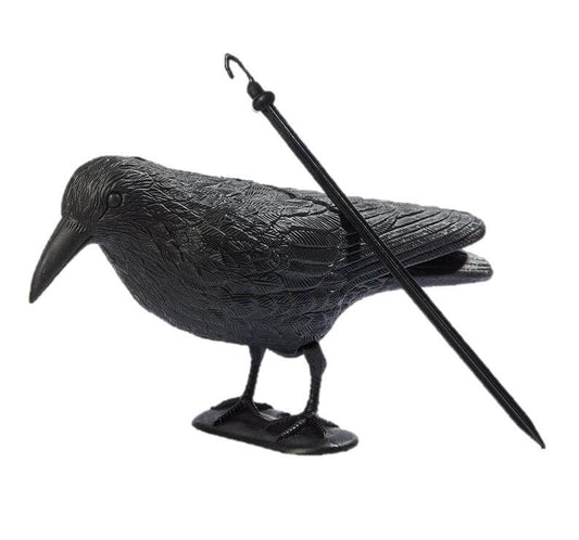 עורב להרחקת יונים לרכישה אונליין בצור מרקט