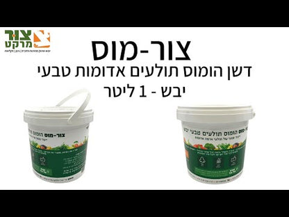 הומוס תולעים אדומות טבעי