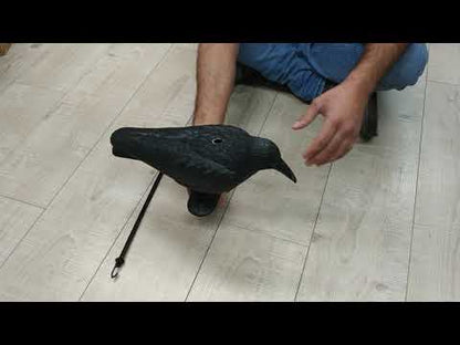 עורב להרחקת יונים לרכישה אונליין בצור מרקט