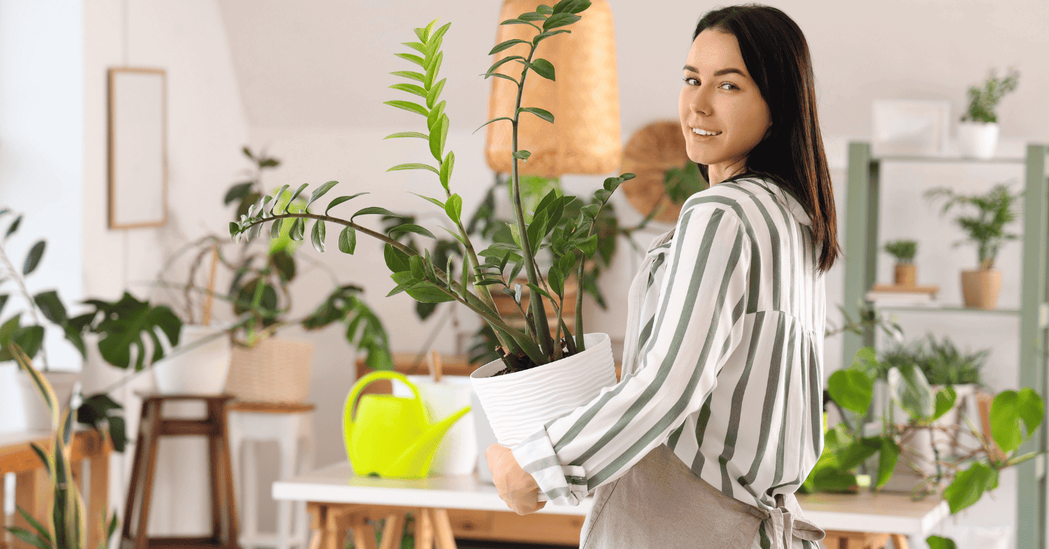 7 סיבות למה דשן הומוס תולעים אורגני הוא הדבר הכי חשוב שחסר לכם בעציץ