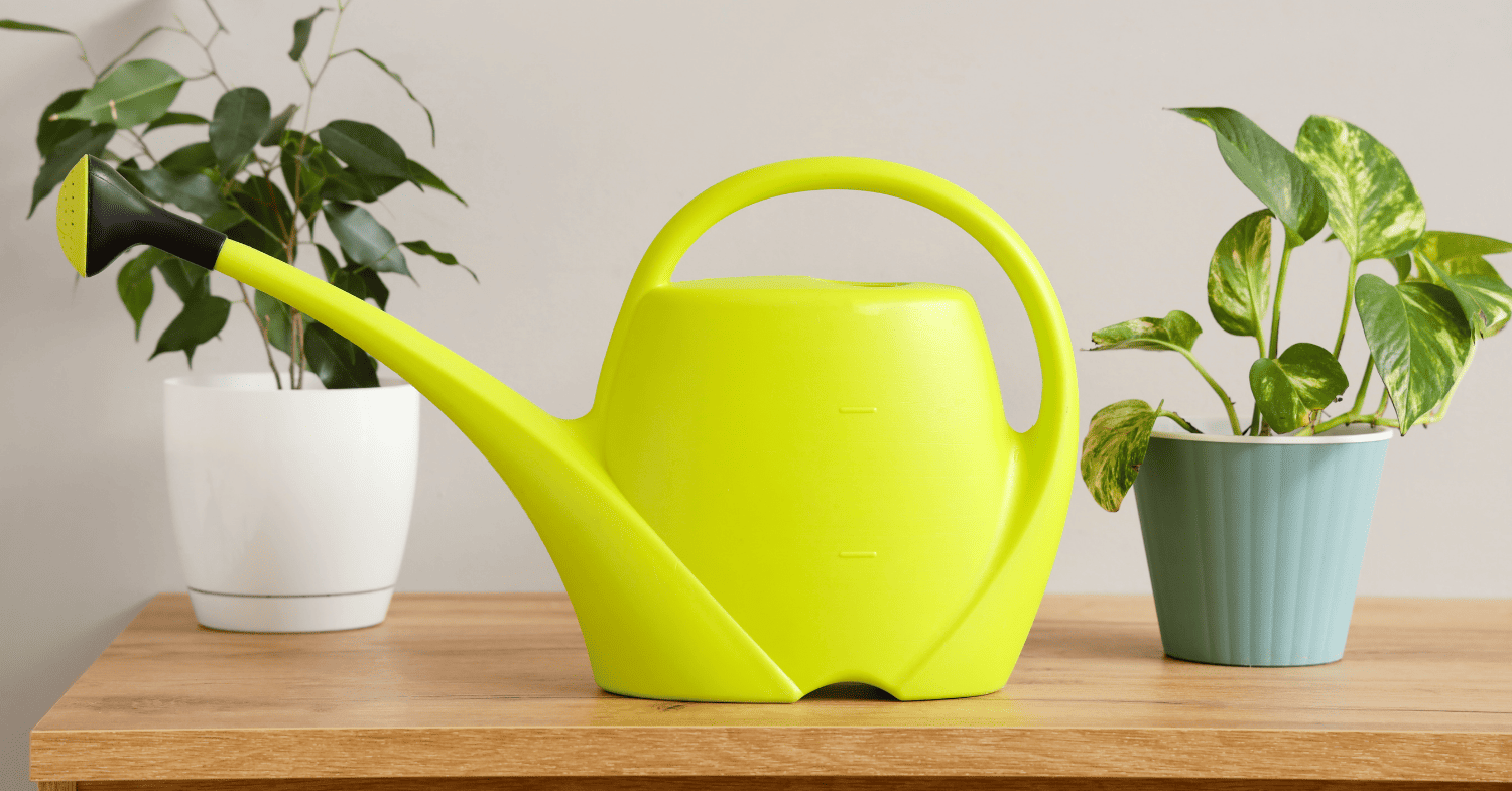 הומוס אורגני לגינה - למה זה הדשן שהצמחים שלכם צריכים ואיך להשתמש נכון?