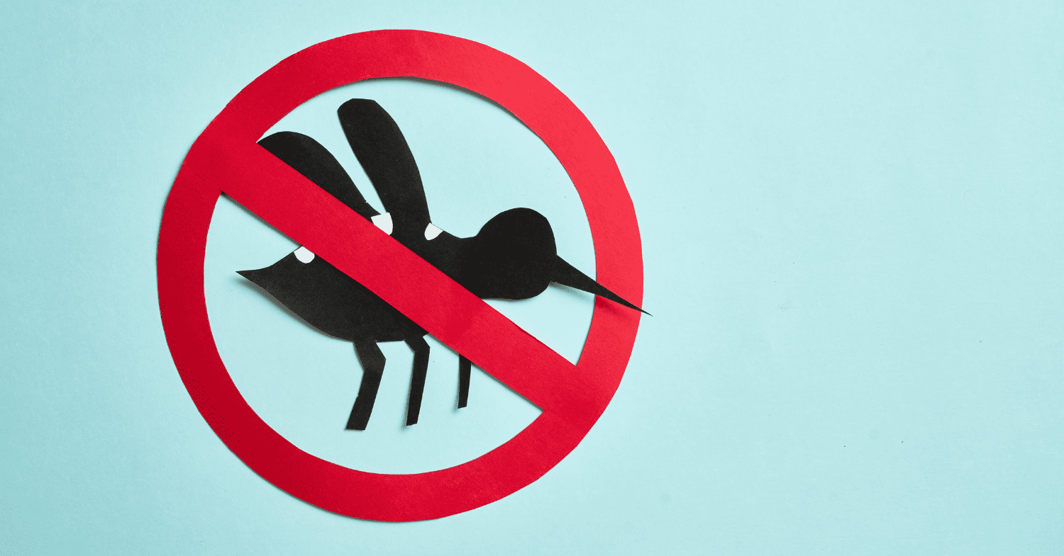 קוטל יתושים מומלץ - 5 קוטלי יתושים מומלצים לשינה שקטה נטולת עקיצות