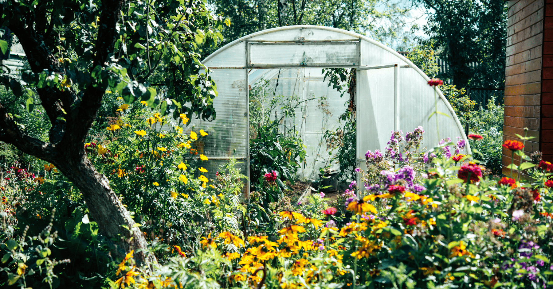 ירקות טריים בחורף? יש כזה דבר: קוראים לזה חממה ביתית - מהמרפסת לצלחת