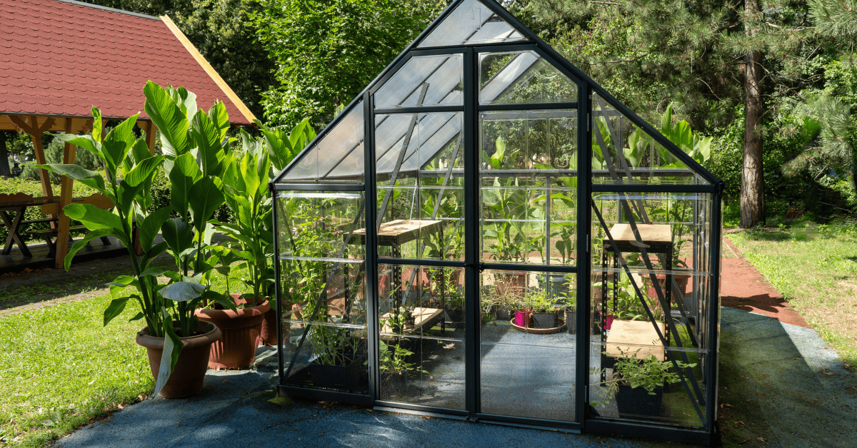 חממה ביתית - ההשקעה הכי קטנה שתיתן לכם טבע, שקט וחשק לגידול סלט ירקות