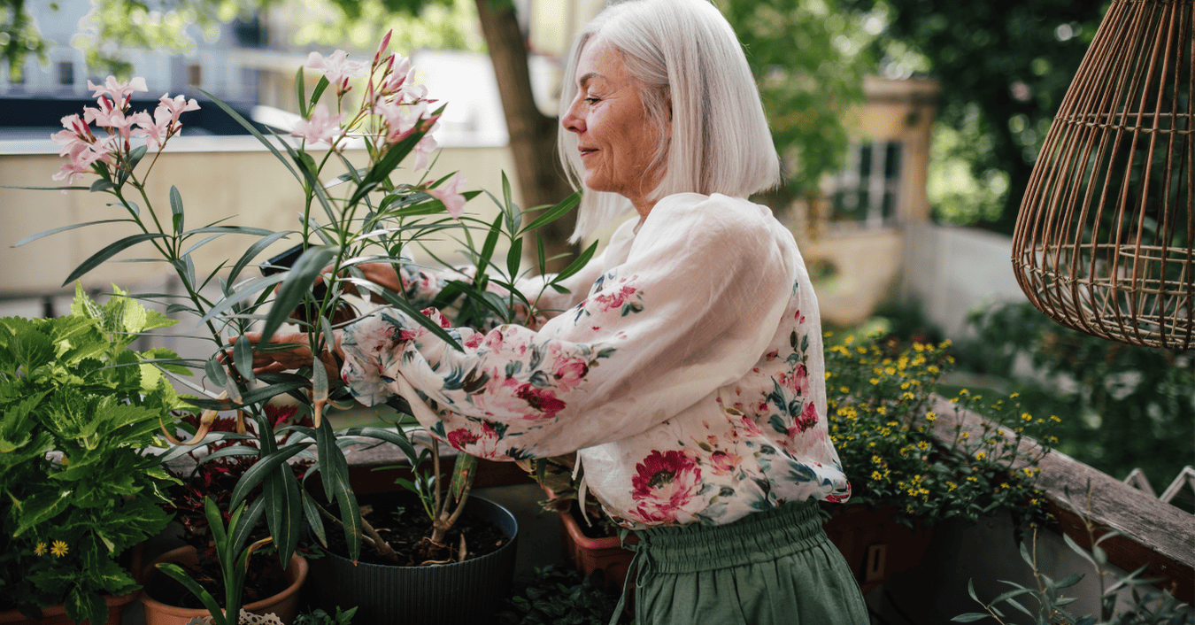 קערות שתילה למרפסת ולגינה, עציצים ואדניות - כל מה שהבית שלכם באמת צריך