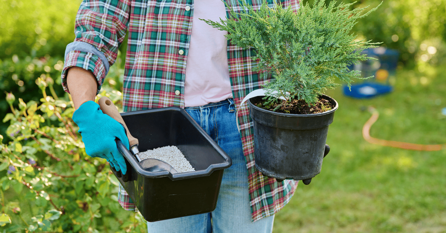 כמה הומוס לשים - הומוס, קומפוסט או דשן? כמה לשים לצמחים שהדישון יעבוד