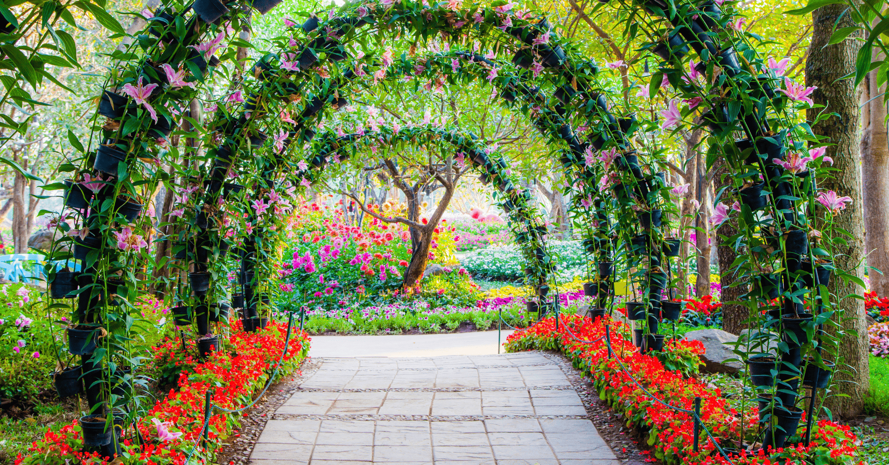 קשת לגינה - הטריק הפשוט לצמחים מטפסים שהופך כל חצר לתמונת אינסטגרם