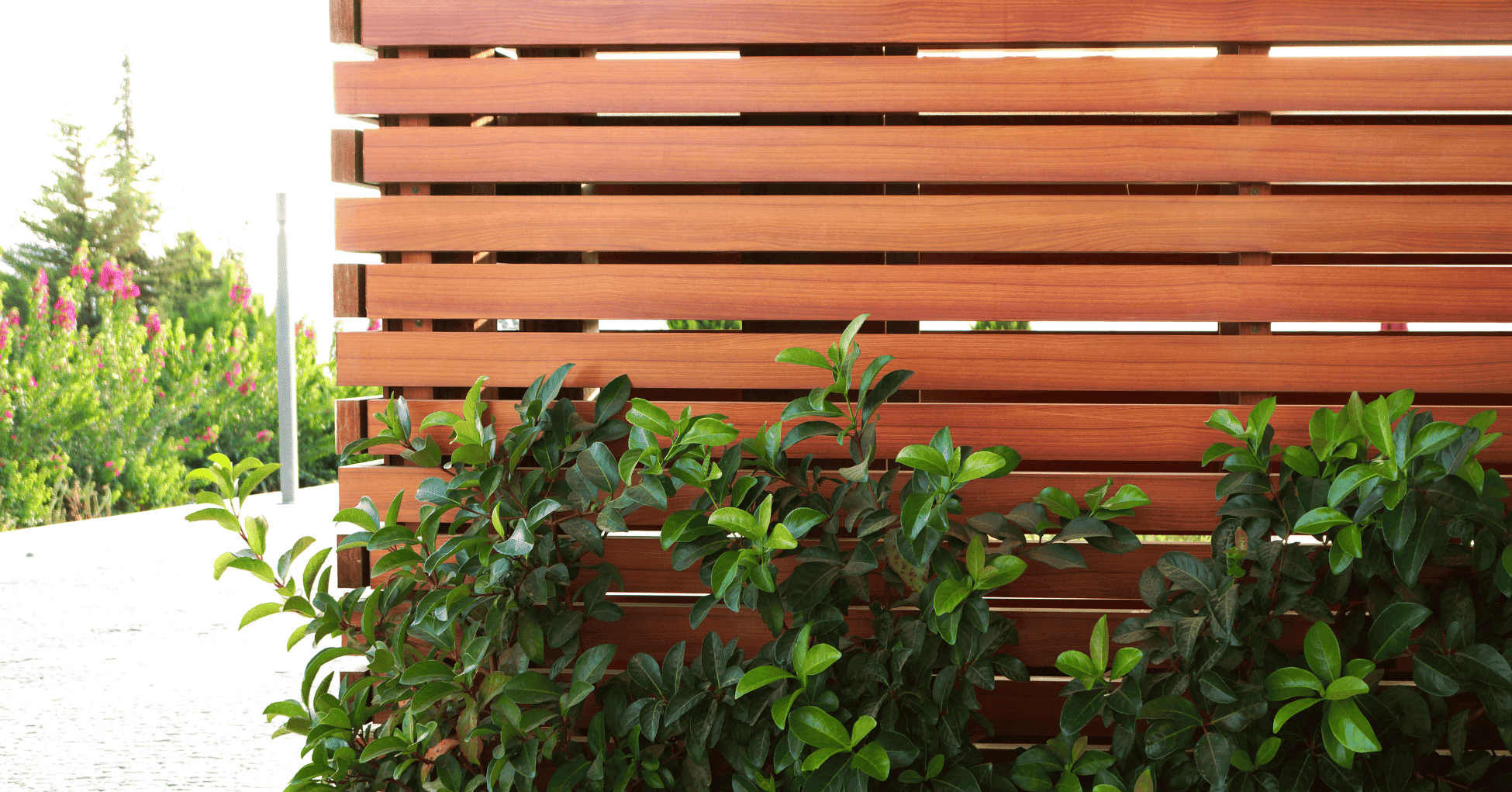 צמחים מטפסים? תנו להם גב! - הפתרונות הכי שווים שתומכים בהם בסטייל