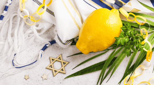 מוצרים לסוכה לקניה אונליין לחג סוכות
