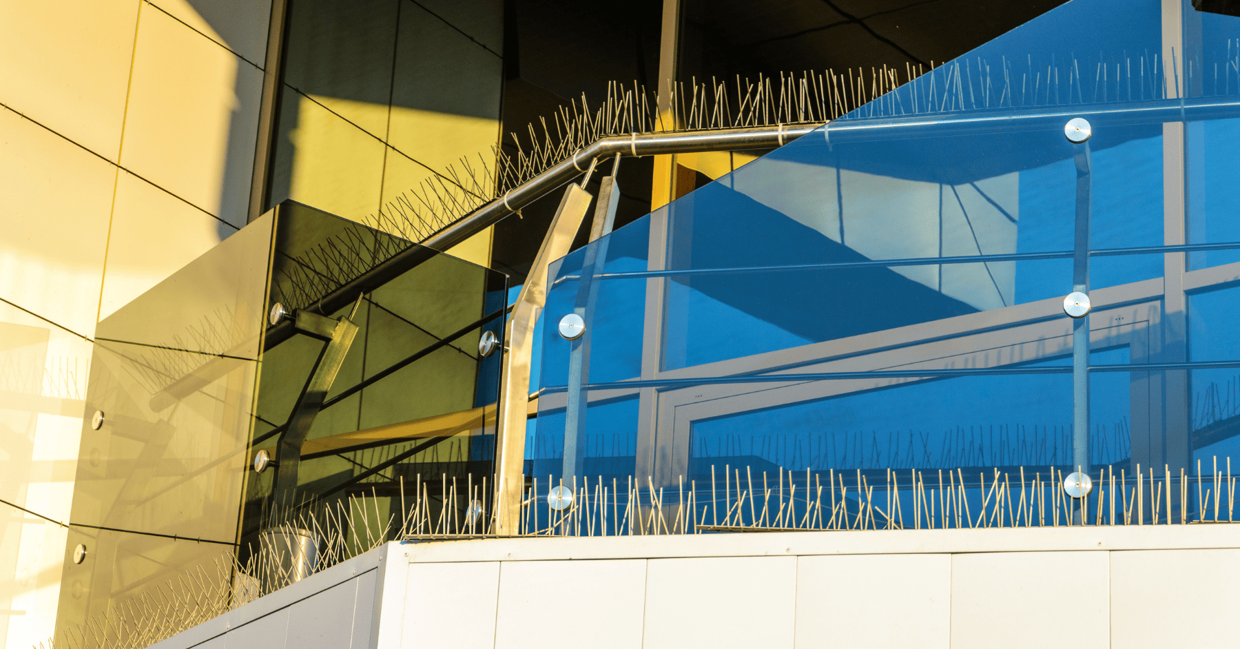 דוקרנים נגד יונים - דגם W: נירוסטה איכותית להרחקת יונים | ZurMarket