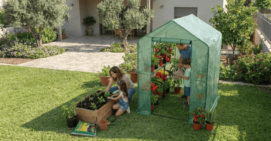 חממה לגינה | חוסכים בקניות: לגדל ירקות אורגניים בחורף - מהגינה לצלחת
