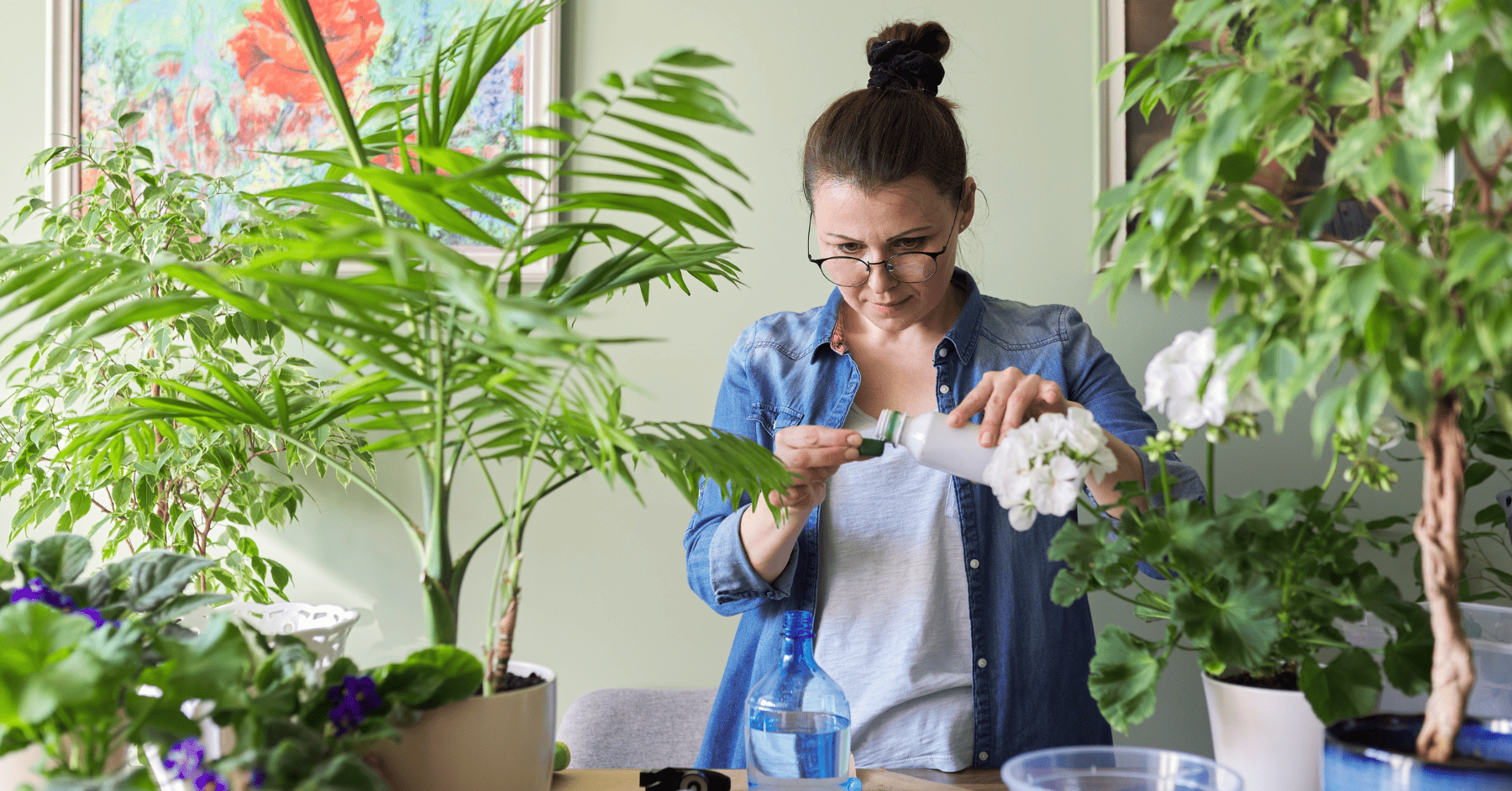 דשנים נוזליים - ביו גארדן Bio Garden - דשן נוזלי איכותי מומלץ יתרונות