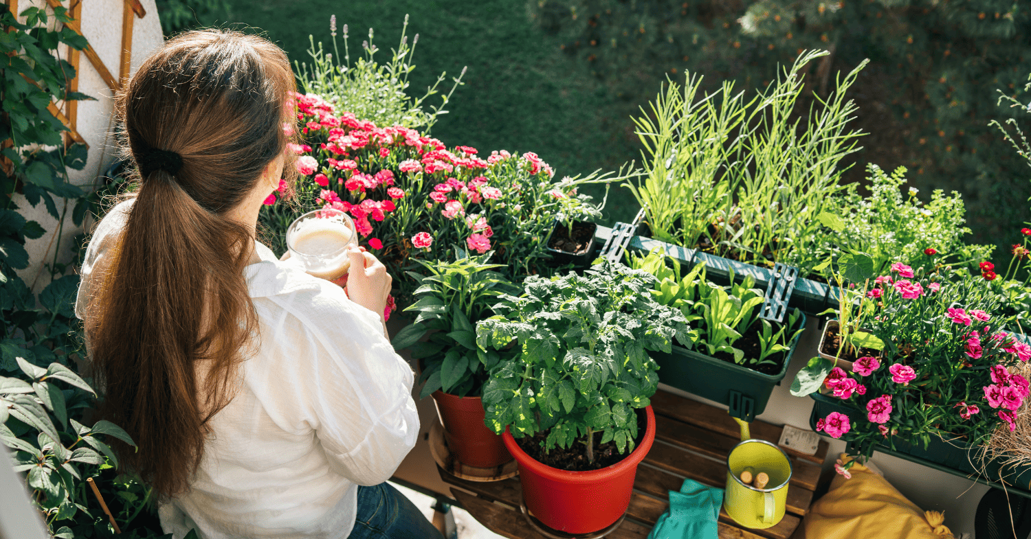 גינון למרפסת - שתילת גינה במרפסת מונעת תסכול: לא מגובה מדעית, אבל עובד