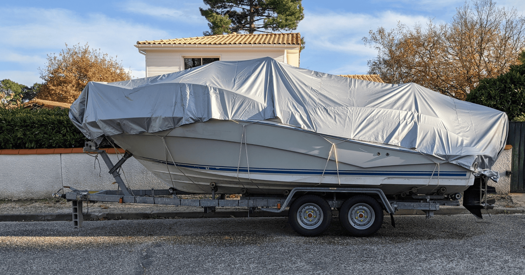 שמשוניות | שמשונית: 9 שימושים מפתיעים לשמשוניות - שלא חשבתם עליהם בכלל
